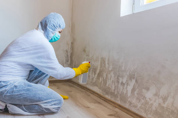 Bathroom Mold Removal assessment in Alto bathroom